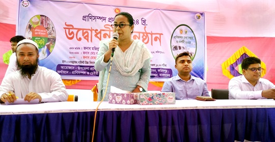 image-here